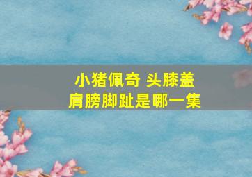 小猪佩奇 头膝盖肩膀脚趾是哪一集